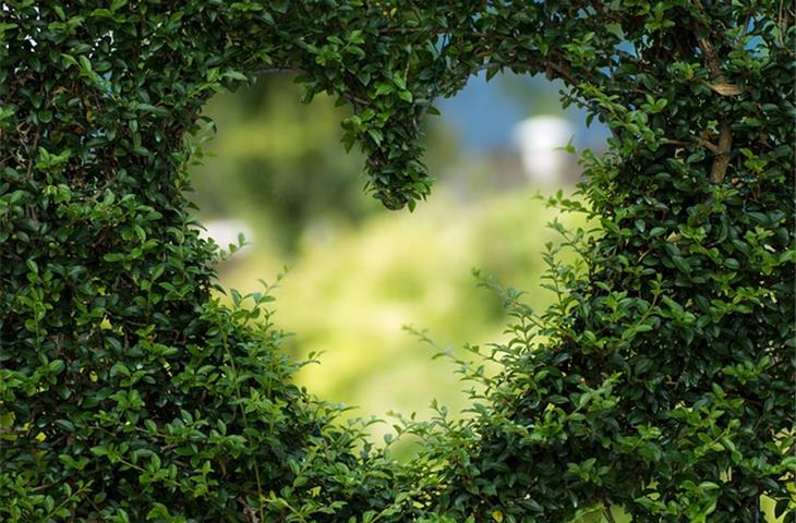 heart wallpaper blue