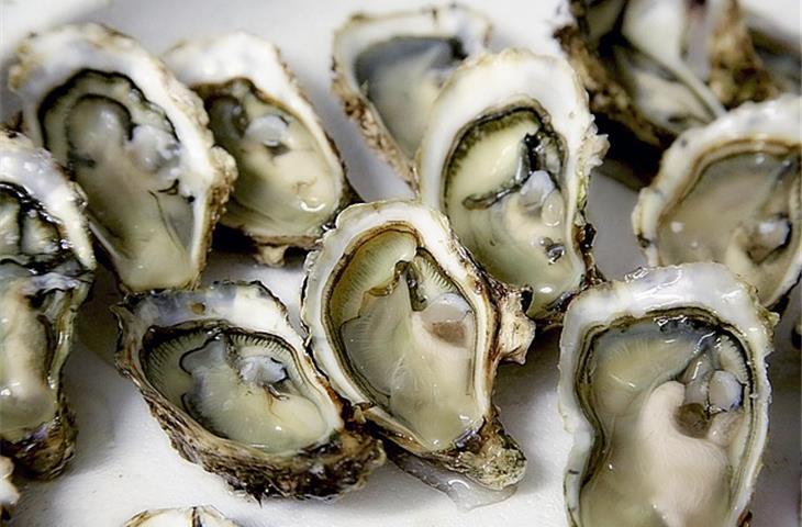 red oyster