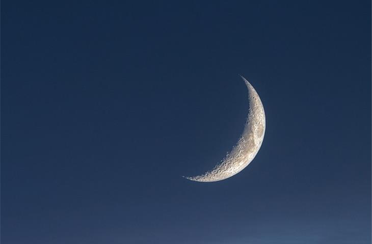 moon watches