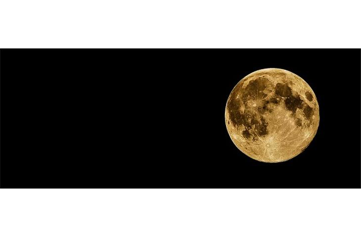 moon watches