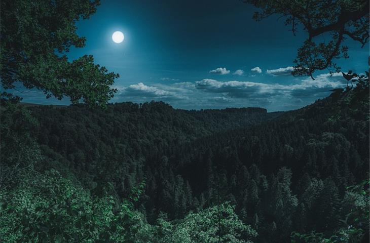 moon watches