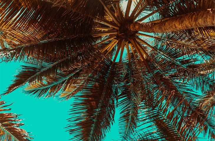 j alexanders palm beach gardens florida