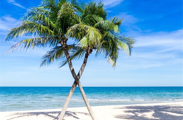 j alexanders palm beach gardens florida