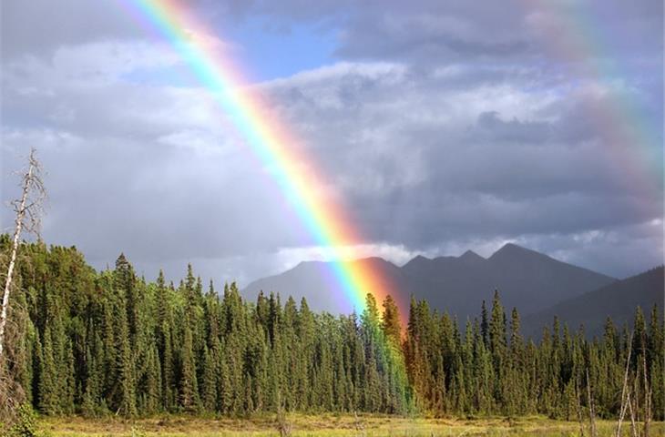 rainbow racing