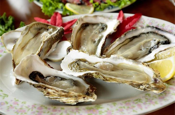 jubilee vs oyster