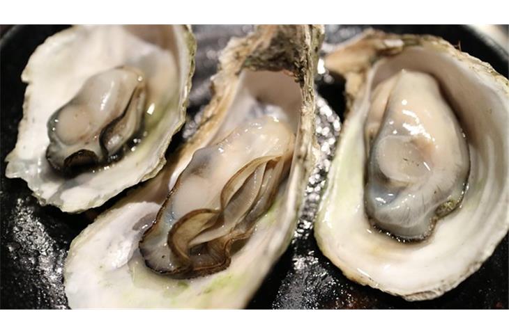 red oyster