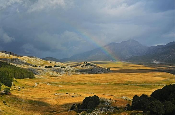 rainbow racing