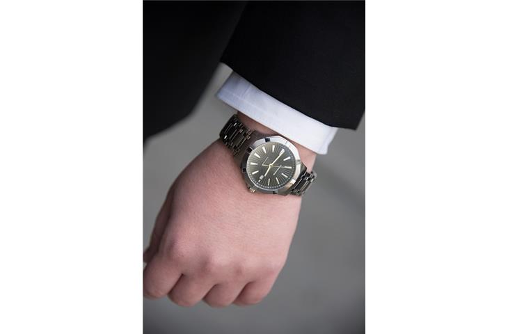 platina watches